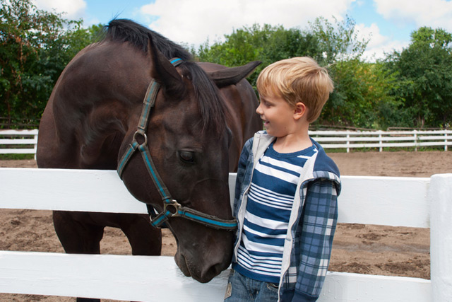 Tiergestützte Pädagogik mit Pferden